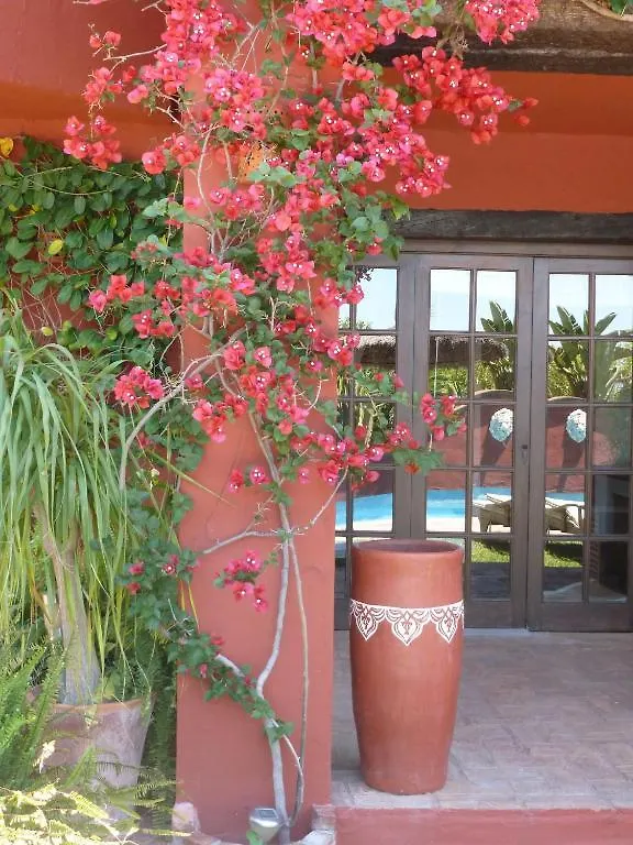 Casa Las Palmeras (Adults Only) 马尔韦利亚 酒店