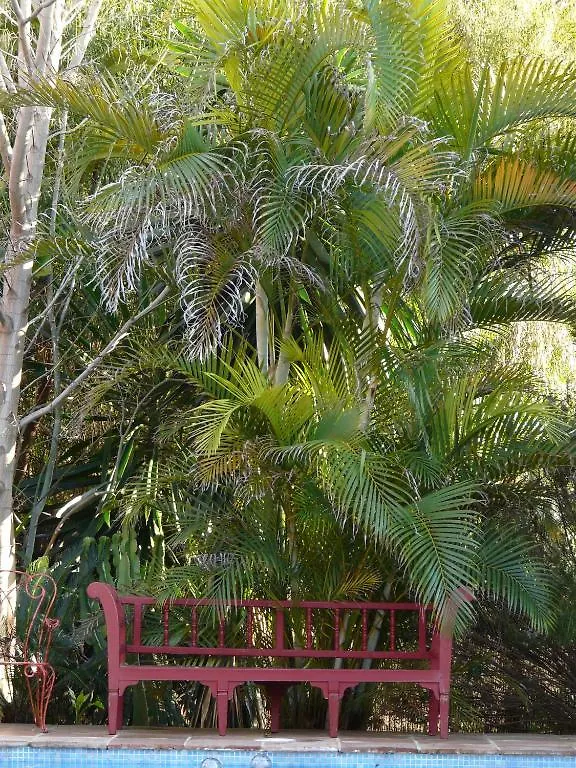 *** 酒店 Casa Las Palmeras (Adults Only) 马尔韦利亚 西班牙