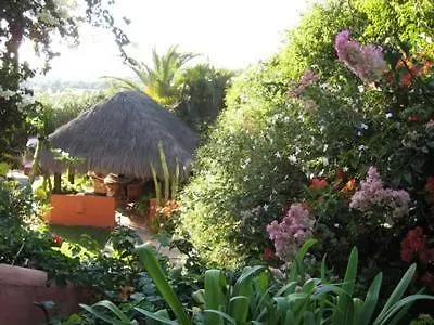 Casa Las Palmeras (Adults Only) 马尔韦利亚
