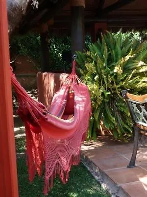 Casa Las Palmeras (Adults Only) 马尔韦利亚 西班牙