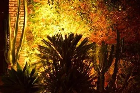 Casa Las Palmeras (Adults Only) 马尔韦利亚