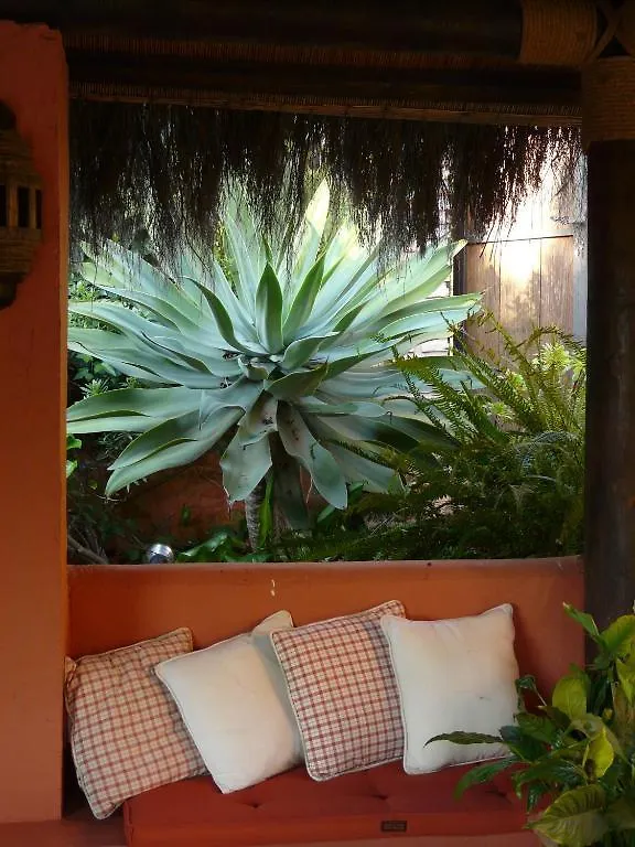 Casa Las Palmeras (Adults Only) Marbella