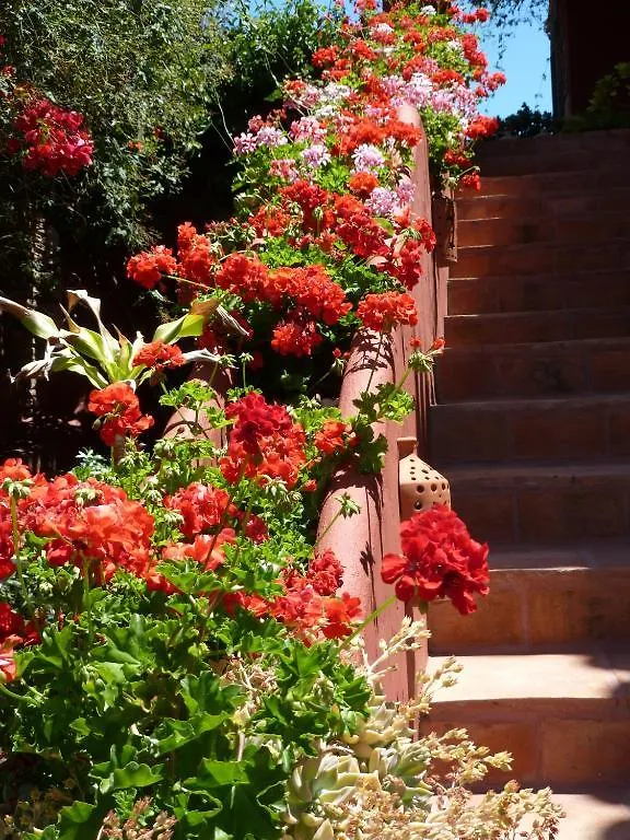 Casa Las Palmeras (Adults Only) Marbella Spain