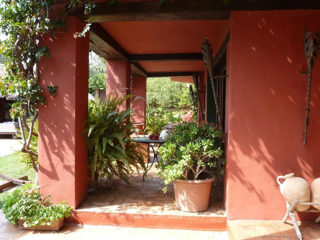 Casa Las Palmeras (Adults Only) Marbella Szálloda
