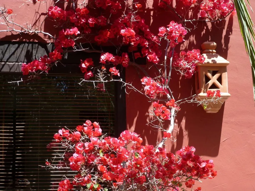 Szálloda Casa Las Palmeras (Adults Only) Marbella